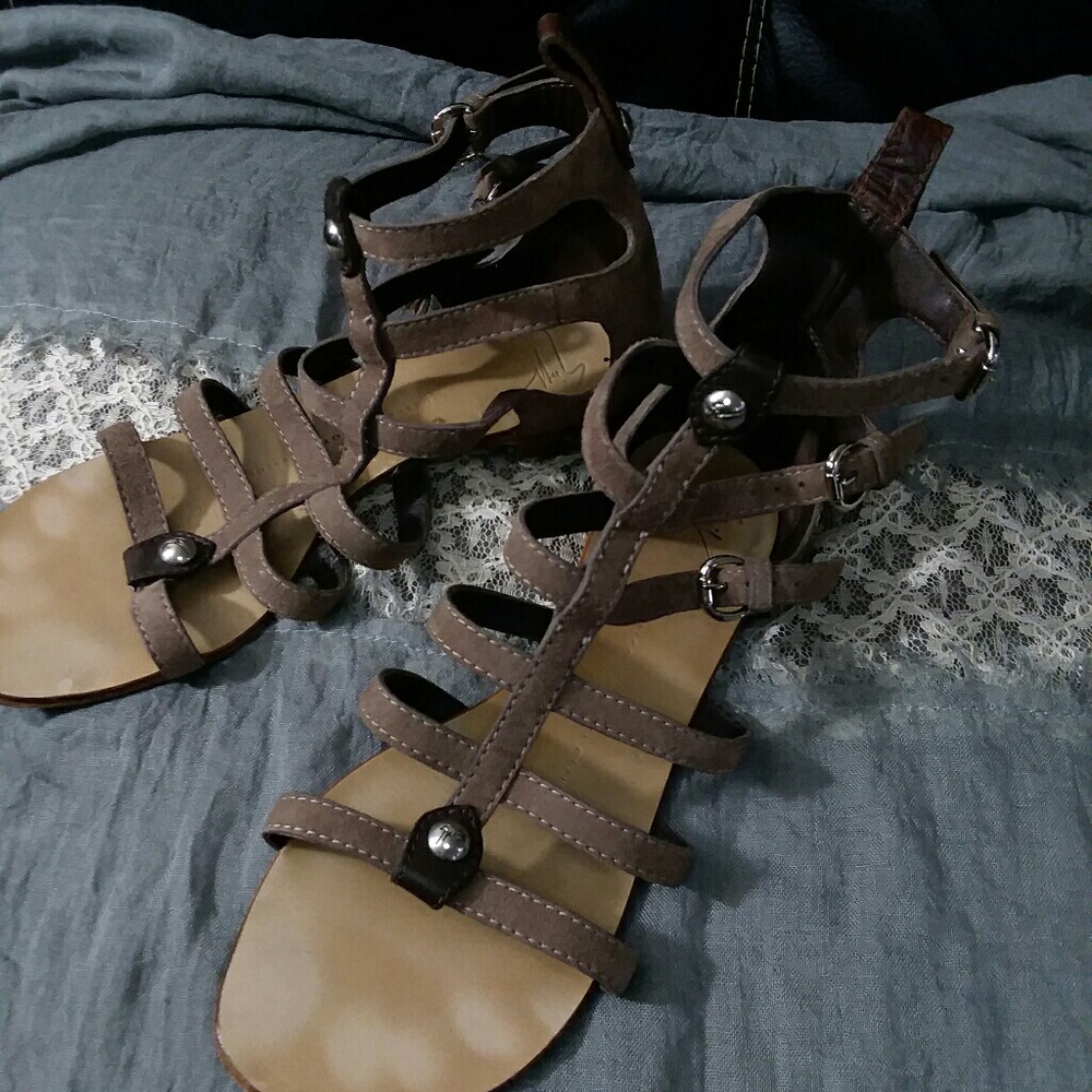 • GIUSEPPE ZANOTTI •